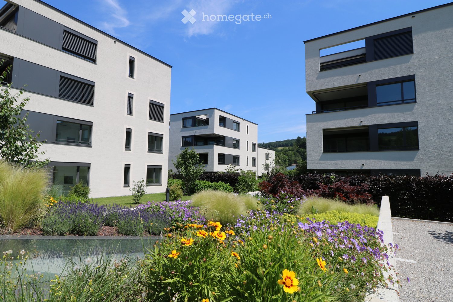 lush garden with colorful flowers and shrubs, paved pathway, and apartment buildings in the background