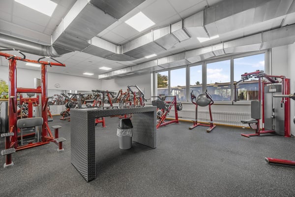 Vielseitiges Industrie- und Gewerbeobjekt in Affoltern am Albis 14