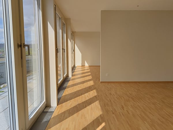 Einzigartige Loftwohnung in Winterthur-Wülflingen 4