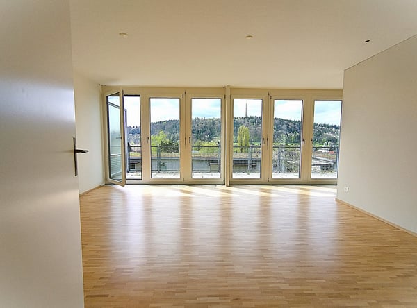 Einzigartige Loftwohnung in Winterthur-Wülflingen 3