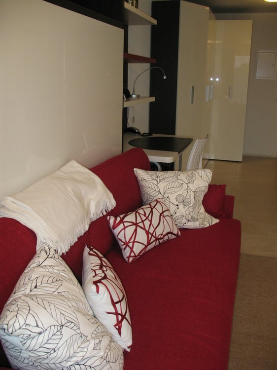 Furnished Flat - Studio meublé avec vue panoramique sur lac et Mont Blanc à Nyon 8