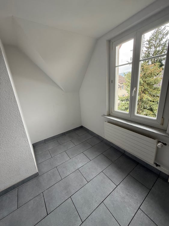 Stilvoll sanierte Wohnung am Stadteingang von Stein am Rhein 10