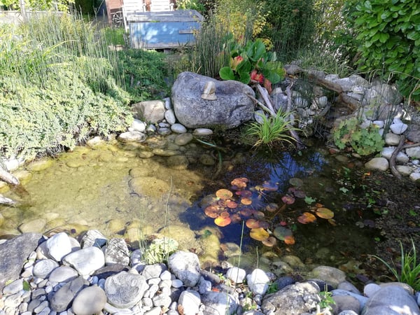Reiheneinfamilienhaus in Matzendorf 3