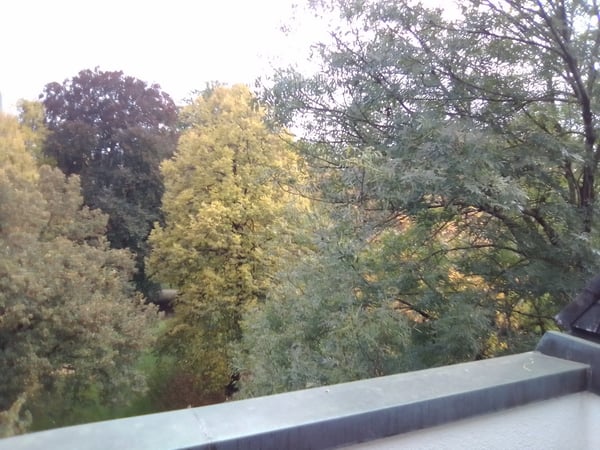 Vorschaubild der Immobilie