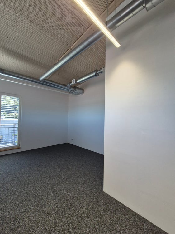 Attraktive Büroräumlichkeiten in charmant gebauter Weinkellerei in Thayngen zu vermieten 6