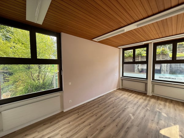 Attraktive Gewerberäumlichkeit an zentraler Lage in Merenschwand 10