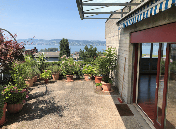 Grosszügige 1.5-Zimmer-Terrassenwohnung mit wunderschönem Seeblick in Pfäffikon SZ 7