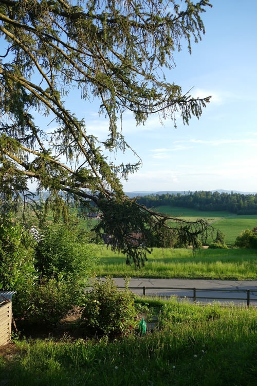 Exklusives Grundstück an Top-Lage Lage in Birchwil 4