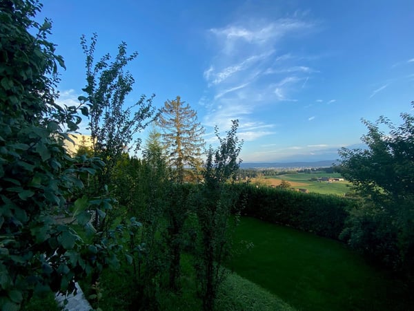 Exklusives Grundstück an Top-Lage Lage in Birchwil 3