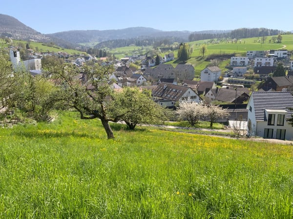 Traumhaftes baureifes Bauland mit Panoramablick in Zeihen AG 4