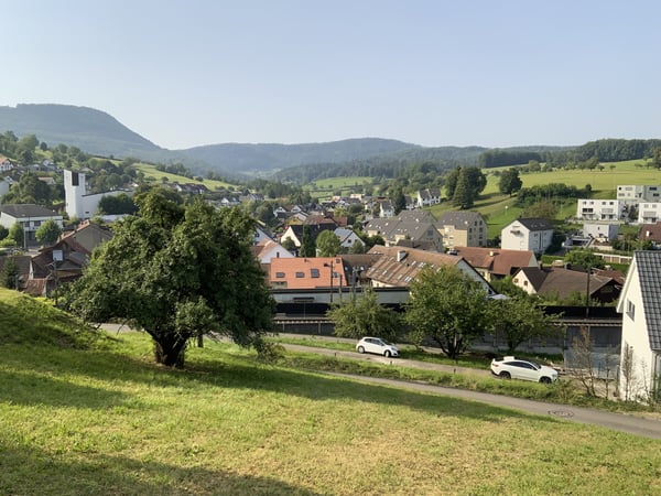 Traumhaftes baureifes Bauland mit Panoramablick in Zeihen AG 7
