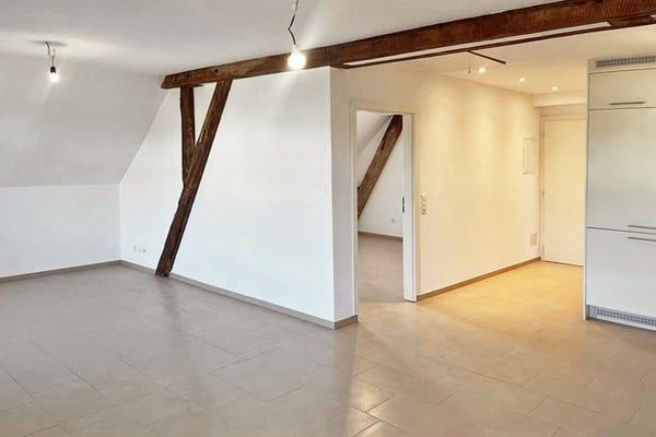 Mehrfamilienhaus mit total 9 Wohnungen in Neuhausen 8