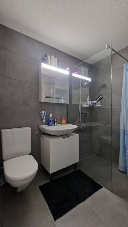 Wohnung in Dottikon 3