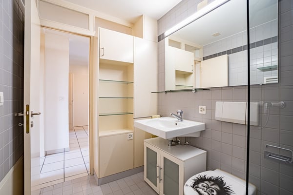 Charmante 1.5-Zimmer-Galeriewohnung mit zwei Balkonen und zwei Tiefgaragenplätze in Büttikon 14