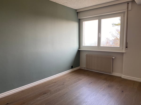 Charmante villa au coeur de Nyon 10