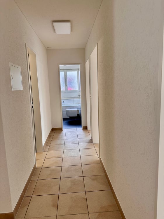 Helle 1.5-Zimmerwohnung mit schöner Aussicht im beliebtem und ruhigem Quartier 15