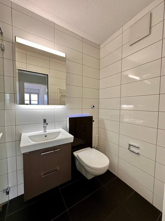 Helle 1.5-Zimmerwohnung mit schöner Aussicht im beliebtem und ruhigem Quartier 17