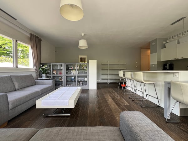 RARE REZ-DE-JARDIN DE 1 PIECES PROCHE DES ORGANISATIONS INTERNATIONALES 2