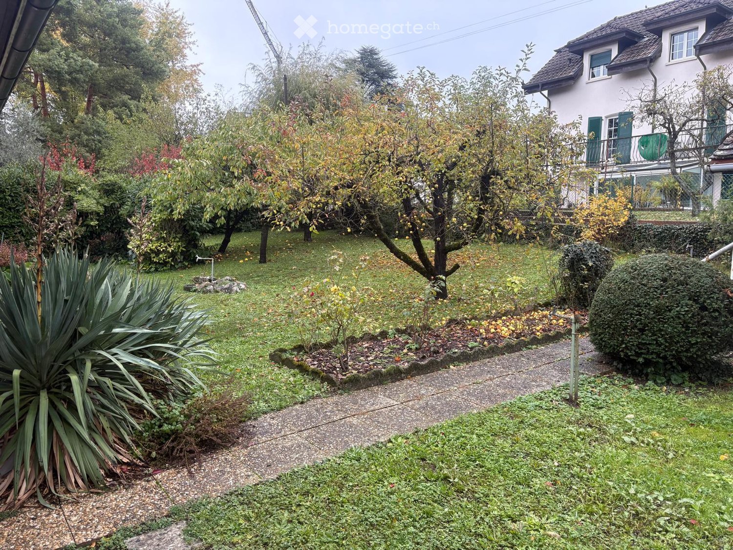 a garden with various plants, flowers, and a house in the background, a concrete pathway leading to the garden, with trees and plants on both sides