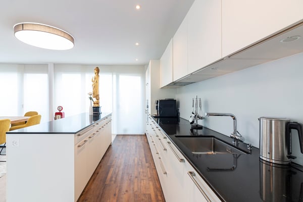 Exklusive 1.5-Zimmer-Attikawohnung mit Dachterrassen und hochwertiger Ausstattung in Stein am Rhein 5