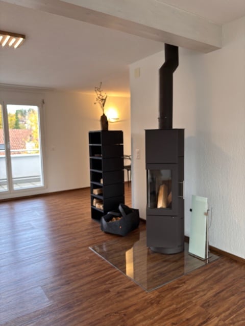 A modern fireplace in a living room with wooden floors and glass door.