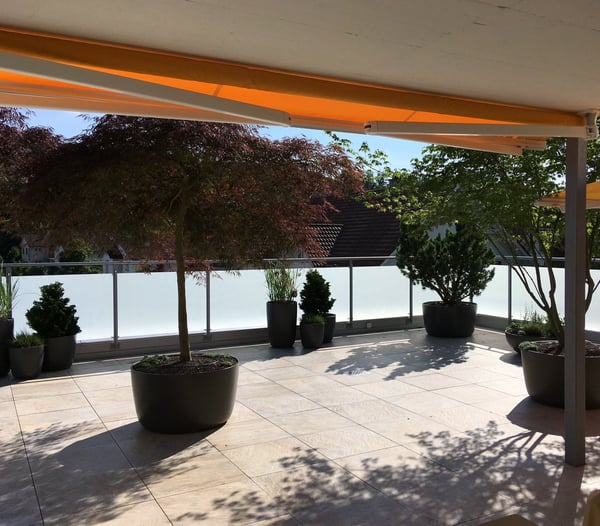 Moderne 1.5-Zimmer-Attikawohnung mit grosser Terrasse 3