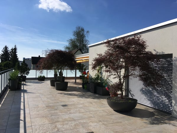 Moderne 1.5-Zimmer-Attikawohnung mit grosser Terrasse 2