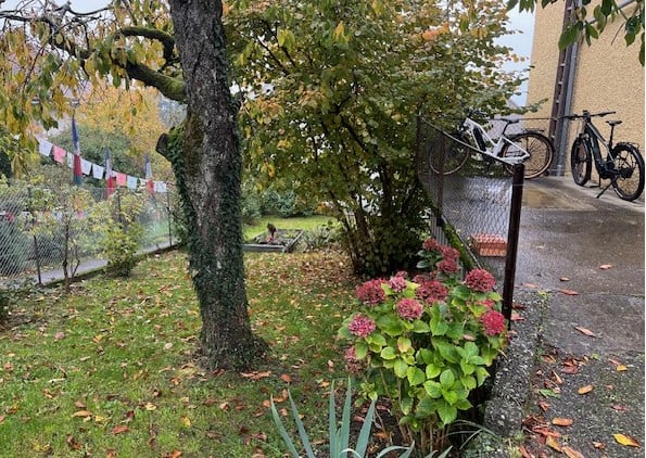 Charmantes 1-Zimmer-Einfamilienhaus in Biel/Bienne 9