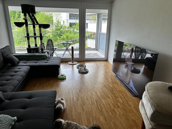 Moderne 1.5-Zimmer-Wohnung mit Balkon und in Lenzburg 2