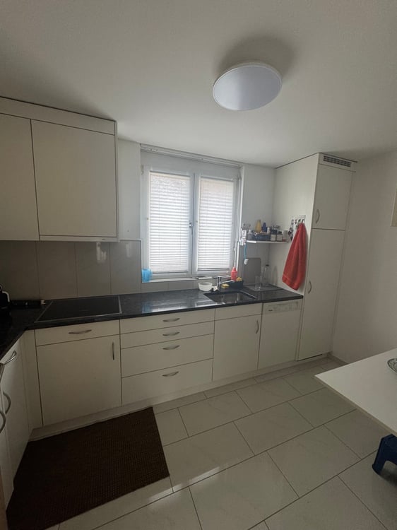 Moderne 1.5-Zimmer-Doppelhaushälfte in ruhiger Lage von Koblenz 6