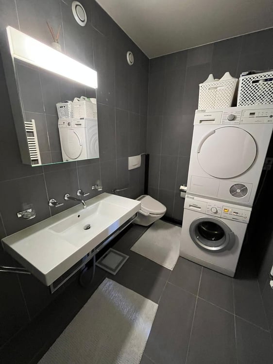 Magnifique attique de 6 pièces avec balcon et terrasse de 90m2 à Carouge 5