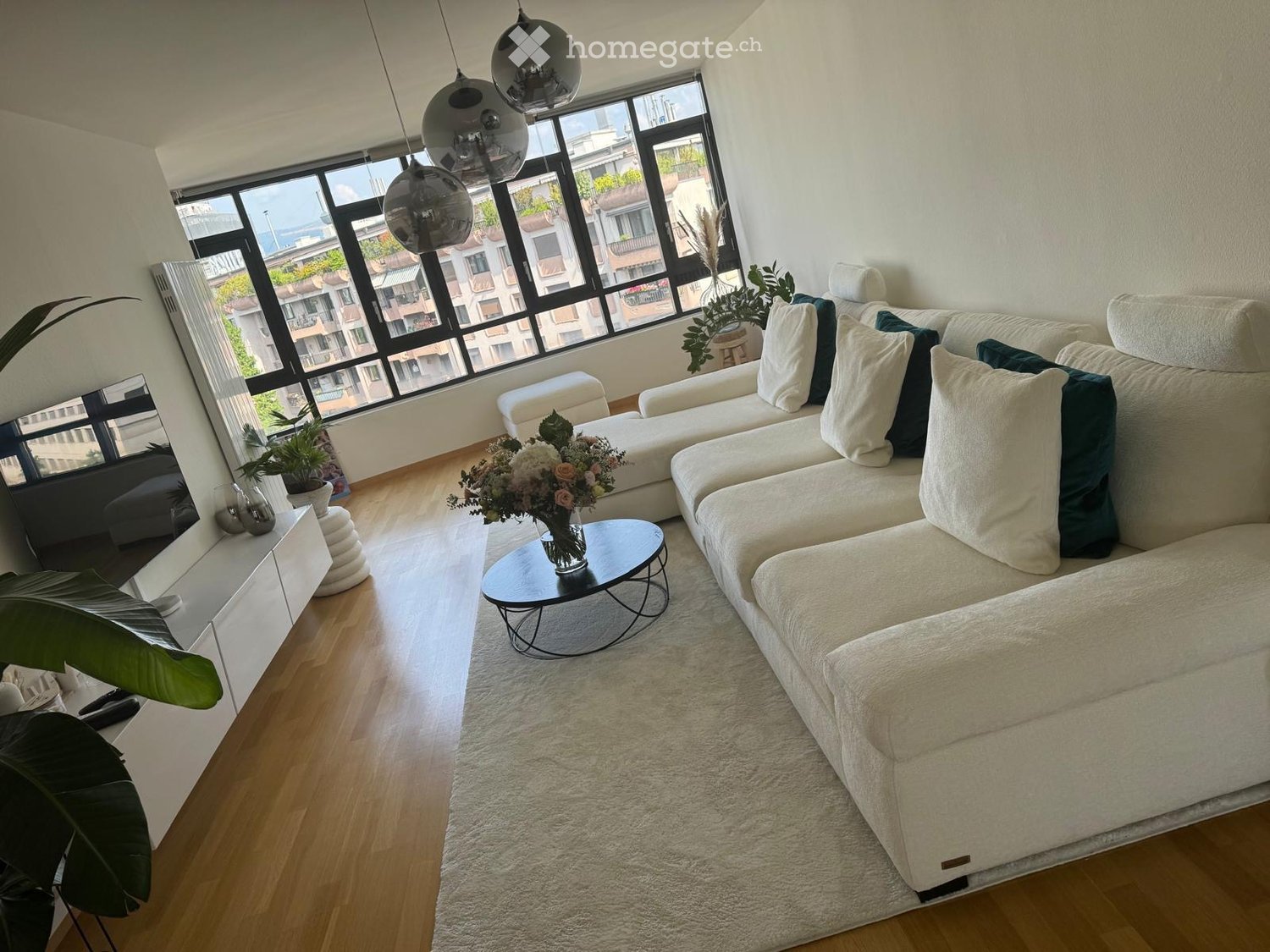 large windows, sofa, coffee table, floor lamp, plants