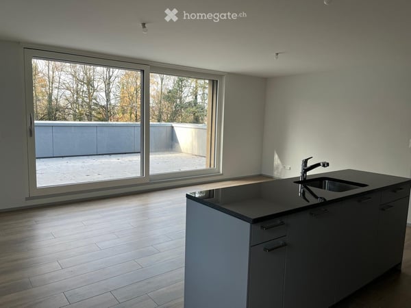 Appartement à Bourguillon 3