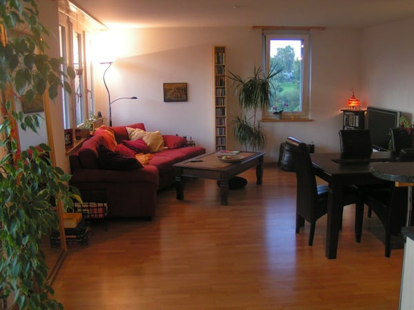Gemütliche 1.5-Zimmer-Wohnung in ruhiger Lage von Schwerzenbach 5