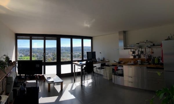Élégance au panorama à Bienne : 1 chambres, séjour avec cheminée, grande terrasse & jardin 4