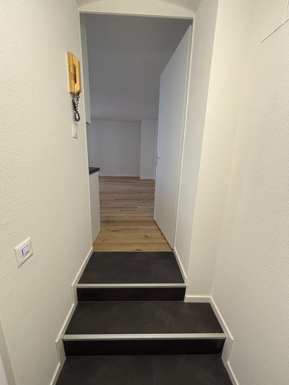 Komplett renovierte 2-Zimmerwohnung in Basel zu vermieten 5