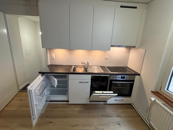 Komplett renovierte 2-Zimmerwohnung in Basel zu vermieten 2