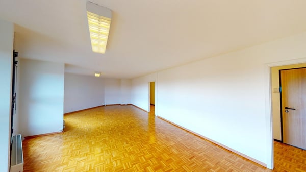 Local commercial à Nyon 3