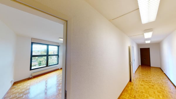 Local commercial à Nyon 4