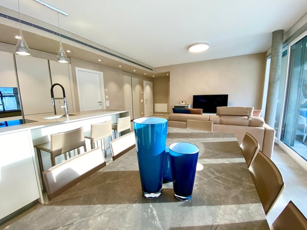 Affittasi 1.5 locali Minergie di standing superiore con grande giardino, zona barbecue + Jacuzzi 3