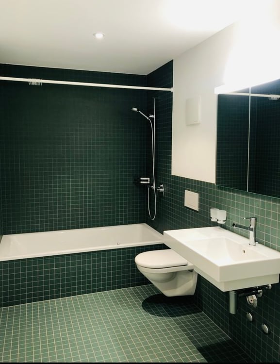 Zu vermieten schöne 1.5- Zimmerwohnung 3