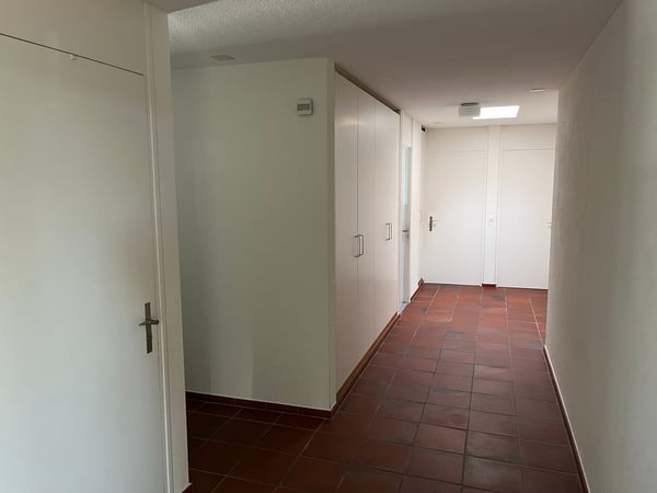 Moderne 1.5-Zimmer-Terrassenwohnung in Ebikon 9