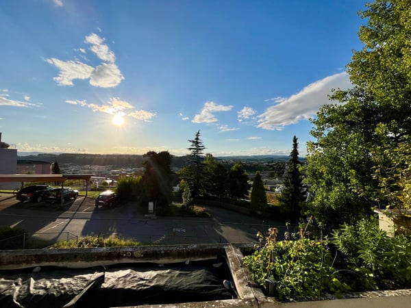 Moderne 1.5-Zimmer-Terrassenwohnung in Ebikon 1