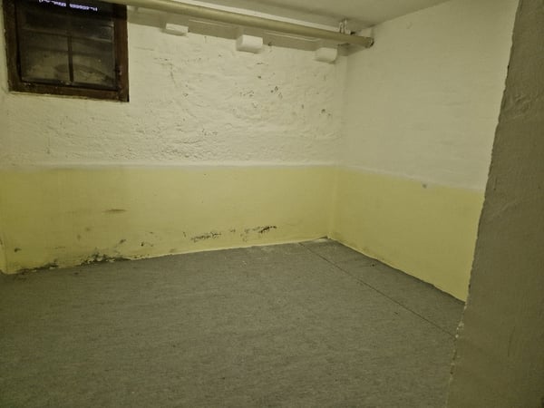 Vielseitiger Gewerberaum an zentraler Lage in Basel 4