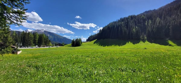 Einfamilienhaus Ob dem Seeweg 3C in Davos Wolfgang 2