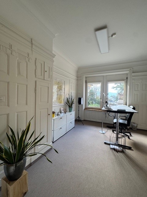 Suchen Sie eine stilvolle und garantiert unverstahlte Bürowohnung im Herzen Zürichs? 6