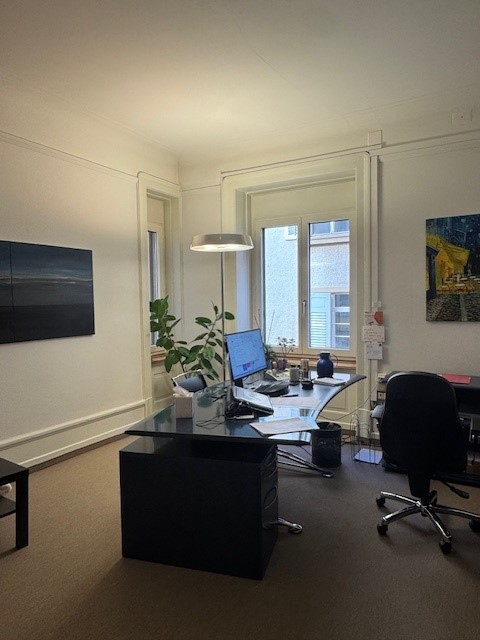 Suchen Sie eine stilvolle und garantiert unverstahlte Bürowohnung im Herzen Zürichs? 5