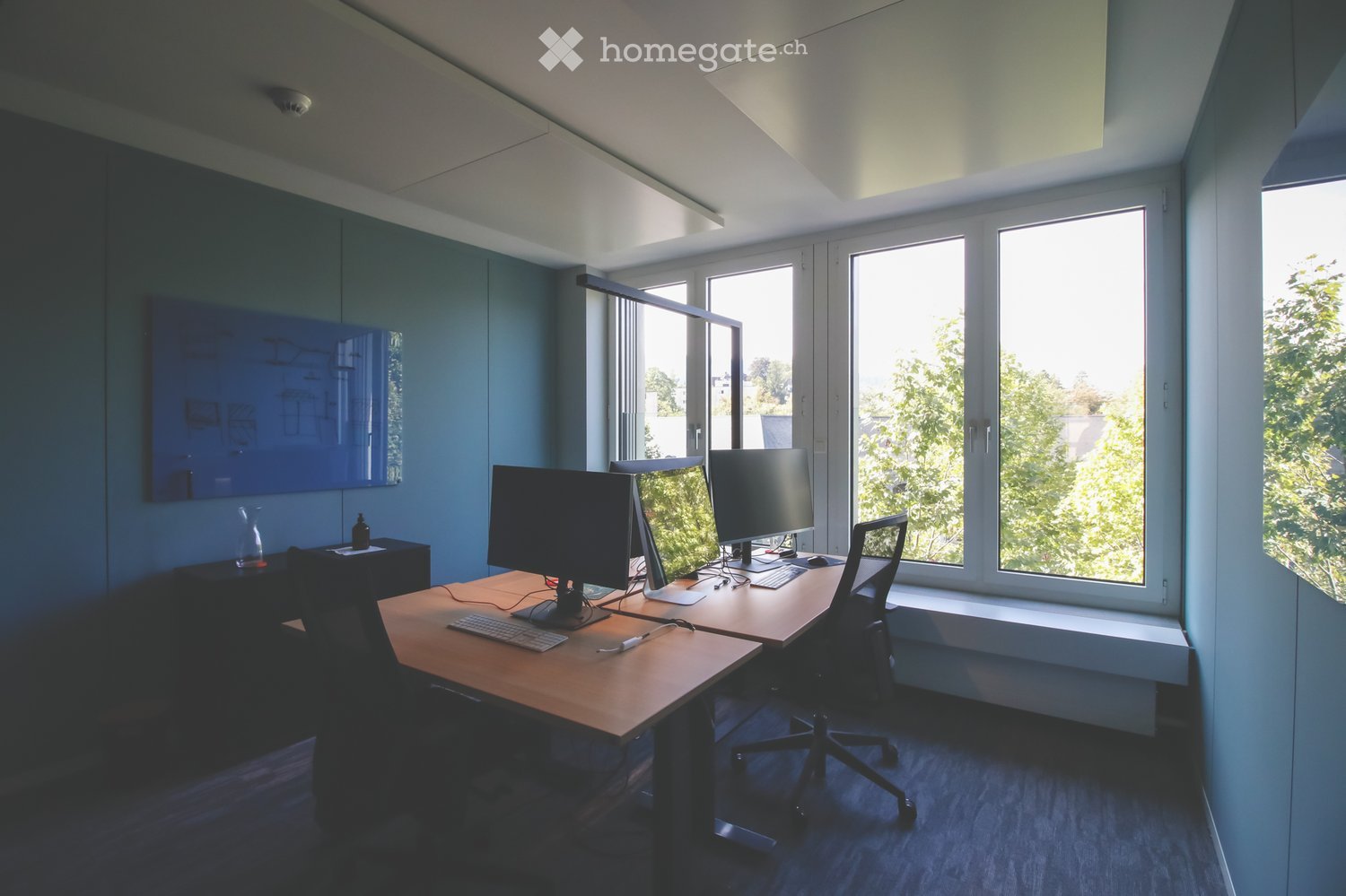 An empty office with two desks and chairs, a large window, a blue wall with a mounted picture, and monitors on the desks.