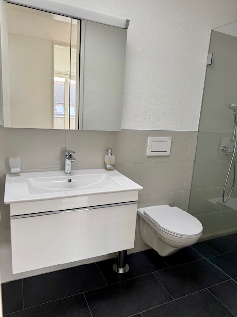 1.5-Zimmer-Attikawohnung mit Weitblick in 3-Familienhaus 5