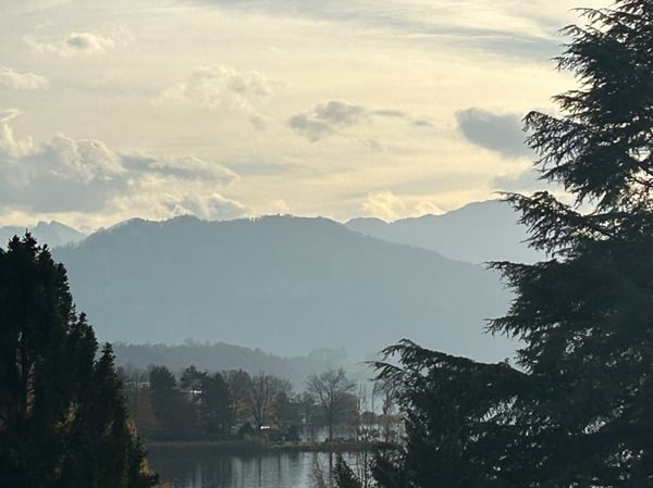 frisch erstellte Dachwohnung mitten in Küssnacht 3